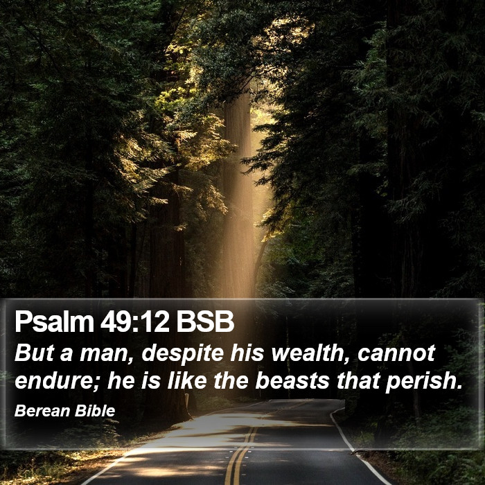 Psalms 49:12 BSB Bible Study