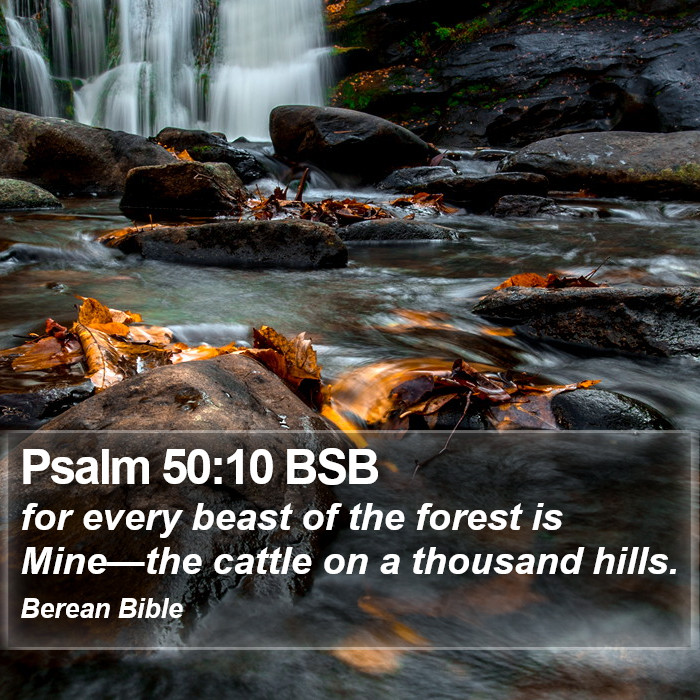 Psalms 50:10 BSB Bible Study