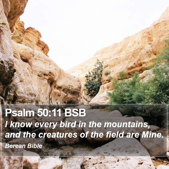 Psalms 50:11 BSB Bible Study