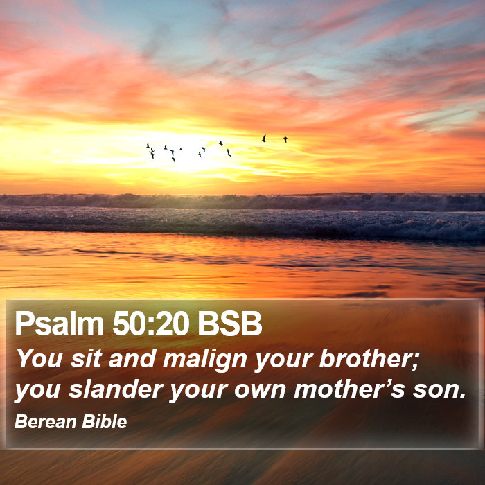 Psalms 50:20 BSB Bible Study