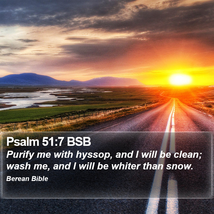 Psalms 51:7 BSB Bible Study