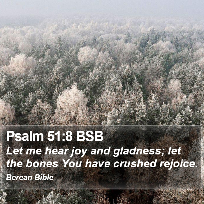 Psalms 51:8 BSB Bible Study