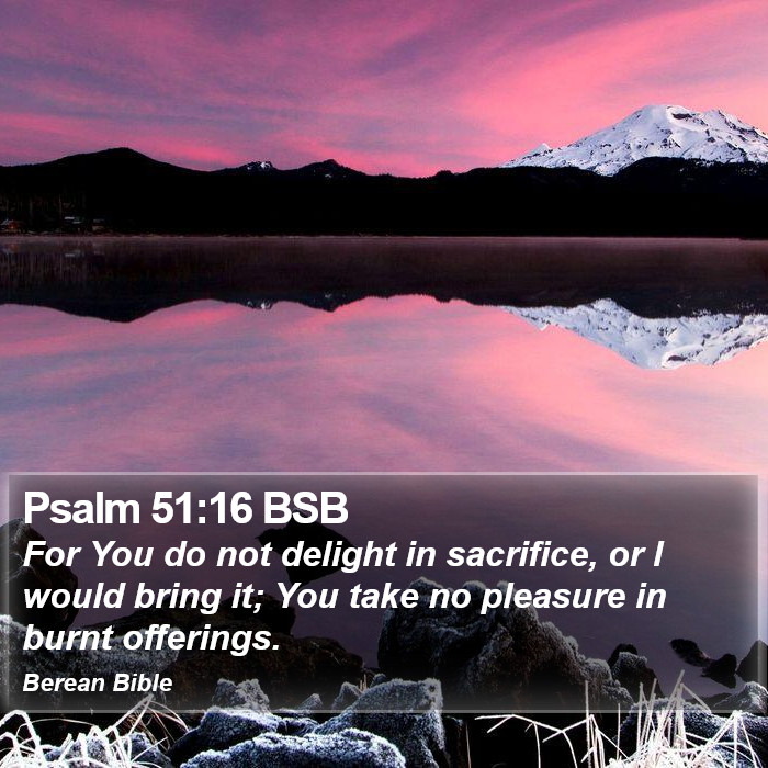 Psalms 51:16 BSB Bible Study