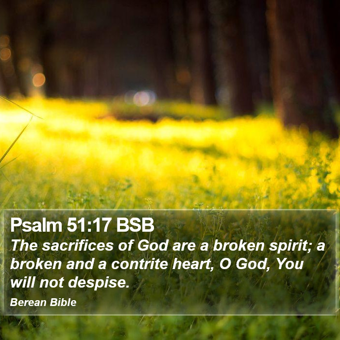 Psalms 51:17 BSB Bible Study