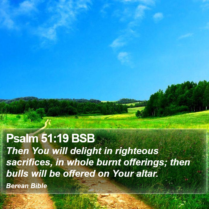 Psalms 51:19 BSB Bible Study