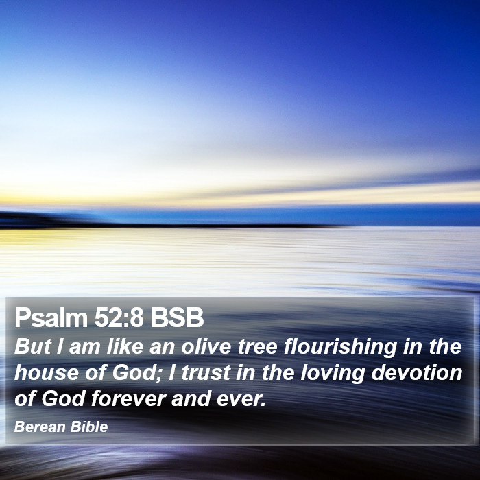 Psalms 52:8 BSB Bible Study