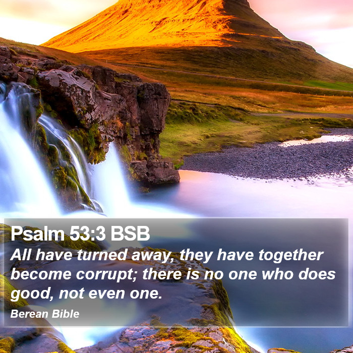 Psalms 53:3 BSB Bible Study