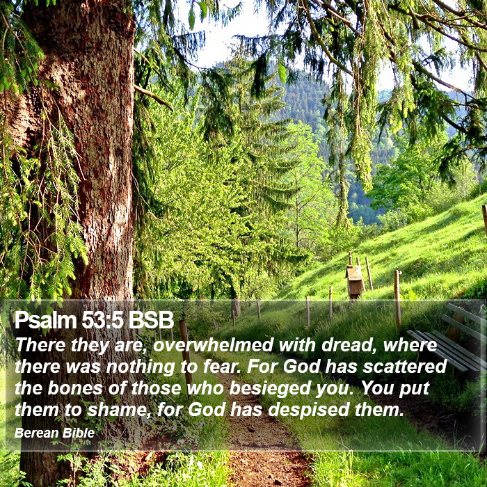 Psalms 53:5 BSB Bible Study