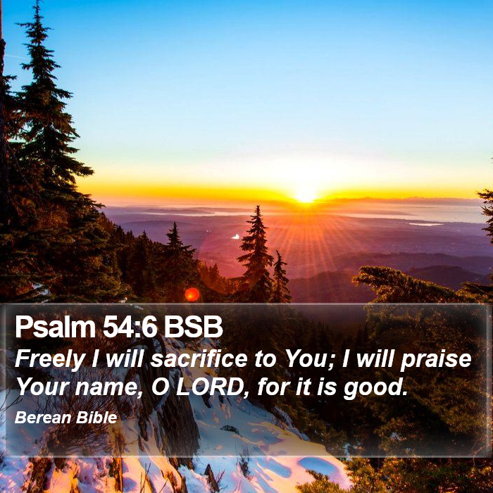 Psalms 54:6 BSB Bible Study