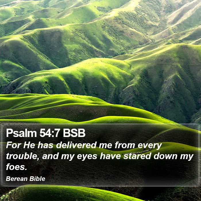 Psalms 54:7 BSB Bible Study