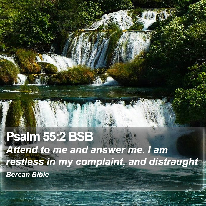 Psalms 55:2 BSB Bible Study