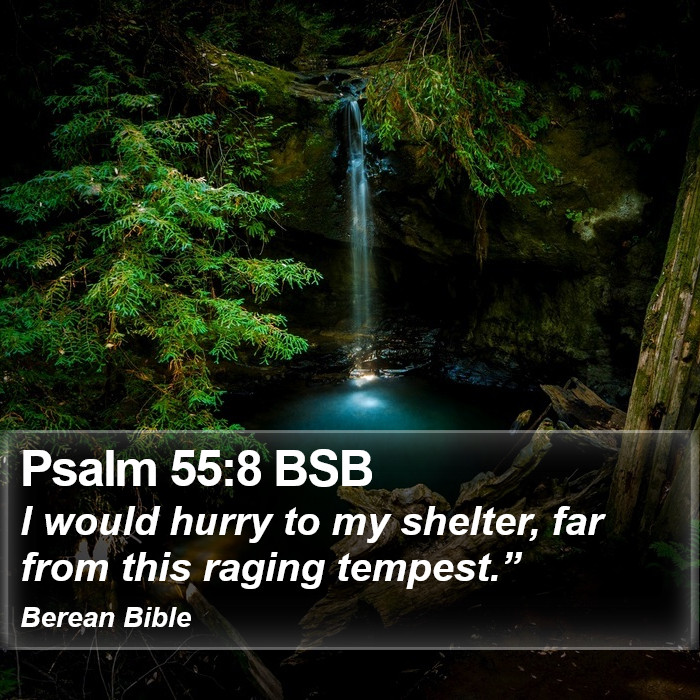 Psalms 55:8 BSB Bible Study