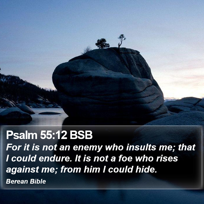 Psalms 55:12 BSB Bible Study