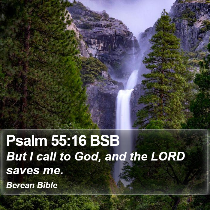 Psalms 55:16 BSB Bible Study