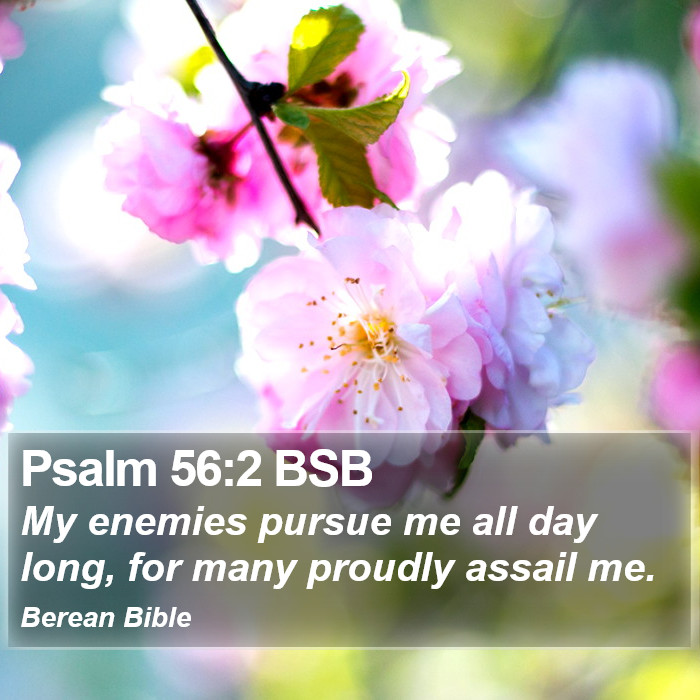 Psalms 56:2 BSB Bible Study