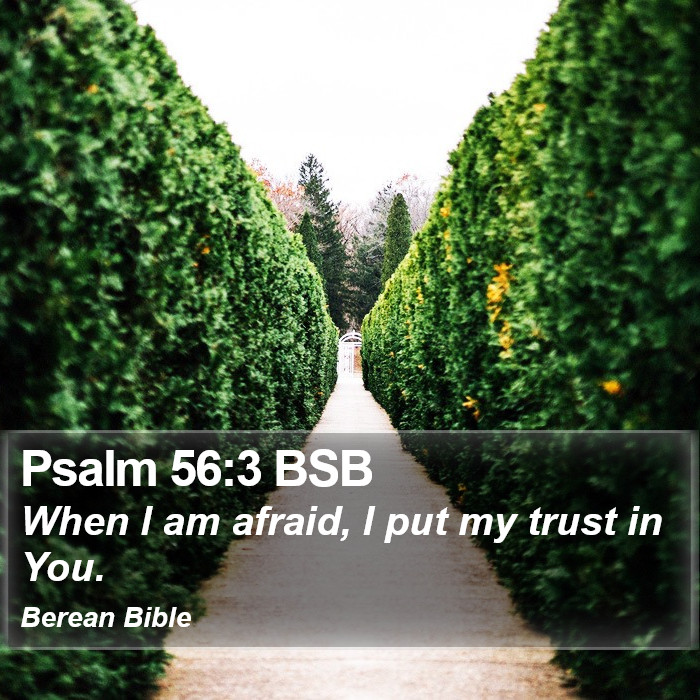 Psalms 56:3 BSB Bible Study