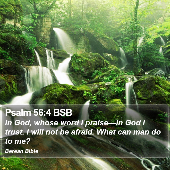 Psalms 56:4 BSB Bible Study