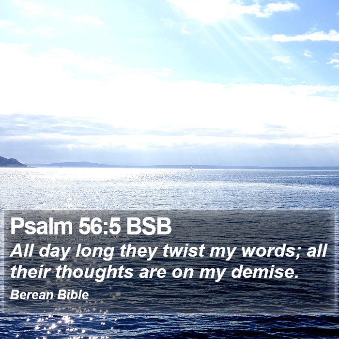 Psalms 56:5 BSB Bible Study