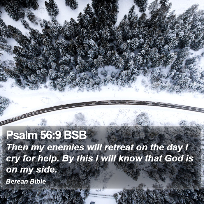 Psalms 56:9 BSB Bible Study