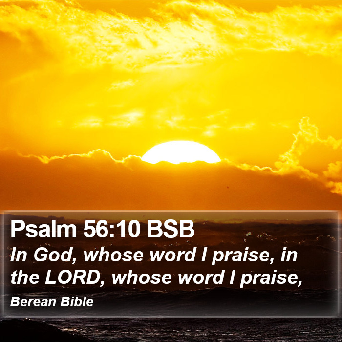 Psalms 56:10 BSB Bible Study