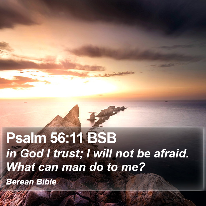 Psalms 56:11 BSB Bible Study