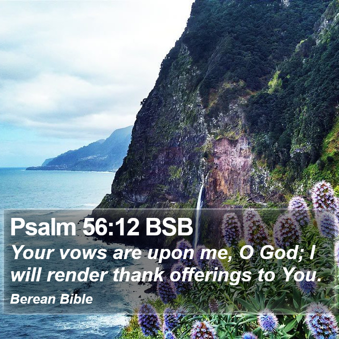 Psalms 56:12 BSB Bible Study