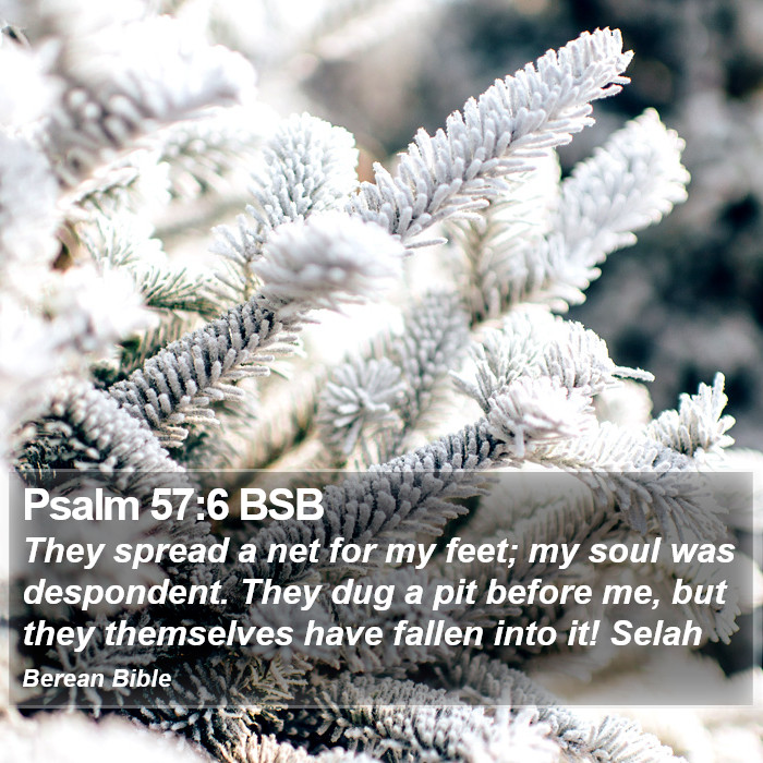 Psalms 57:6 BSB Bible Study