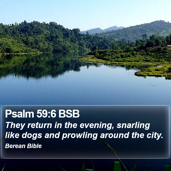 Psalms 59:6 BSB Bible Study