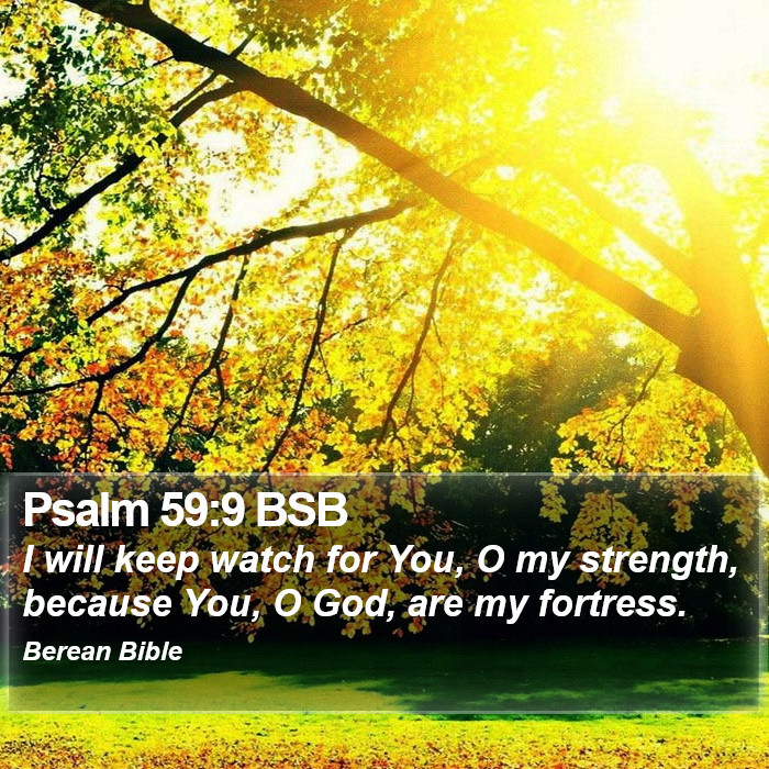 Psalms 59:9 BSB Bible Study