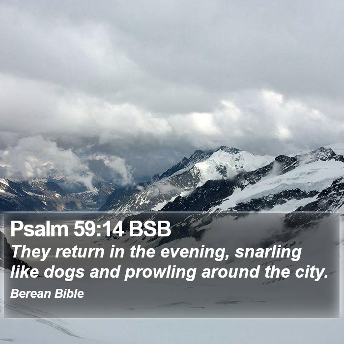 Psalms 59:14 BSB Bible Study