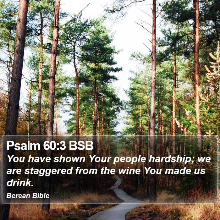 Psalms 60:3 BSB Bible Study