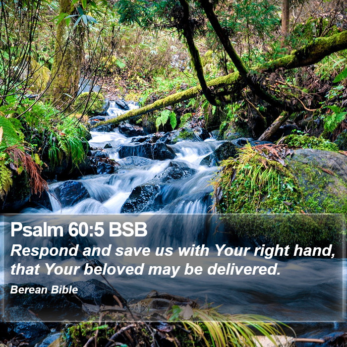 Psalms 60:5 BSB Bible Study