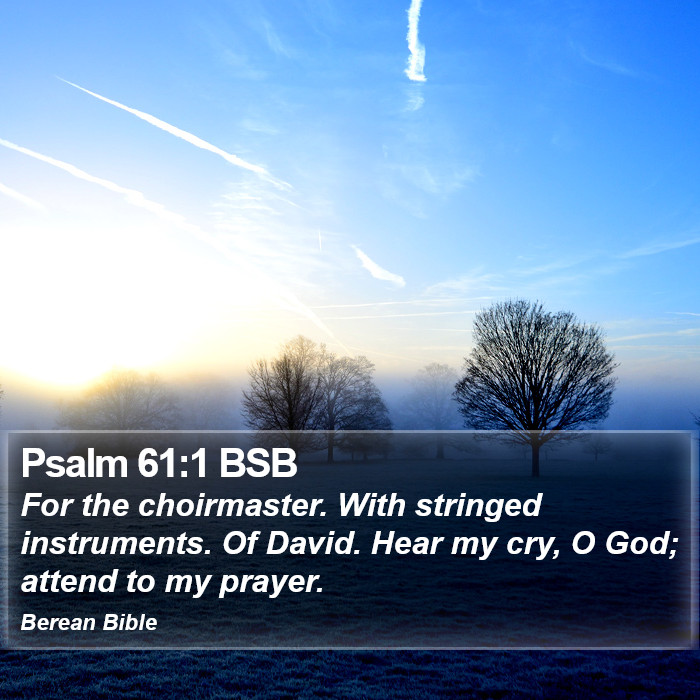 Psalms 61:1 BSB Bible Study