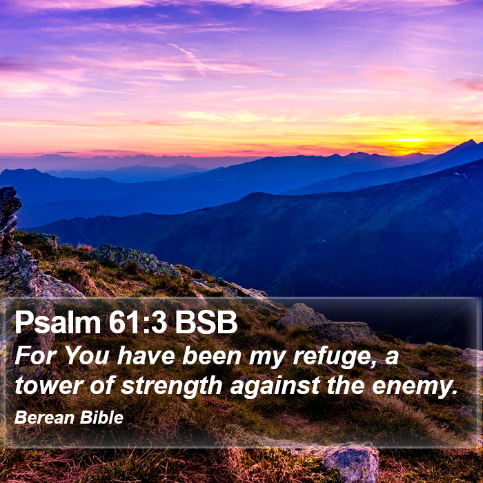 Psalms 61:3 BSB Bible Study