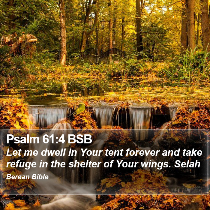 Psalms 61:4 BSB Bible Study