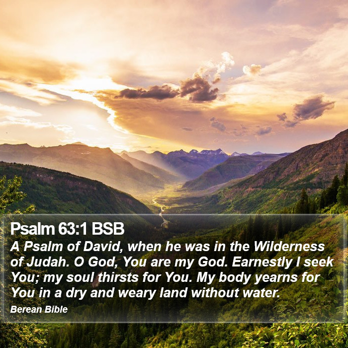 Psalms 63:1 BSB Bible Study