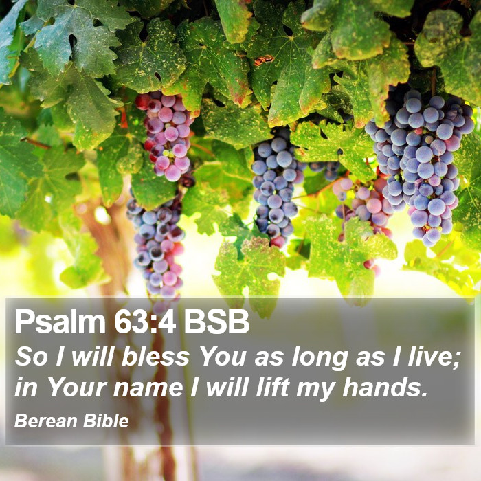 Psalms 63:4 BSB Bible Study