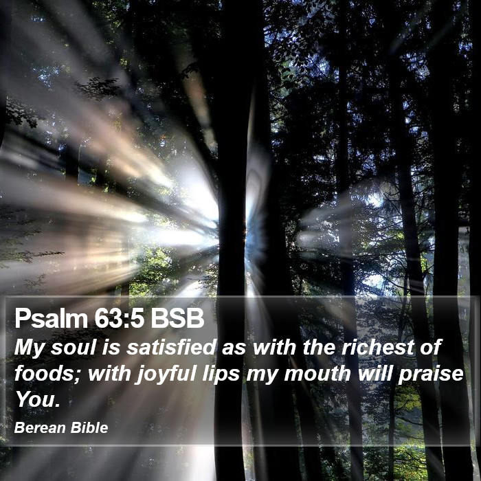 Psalms 63:5 BSB Bible Study