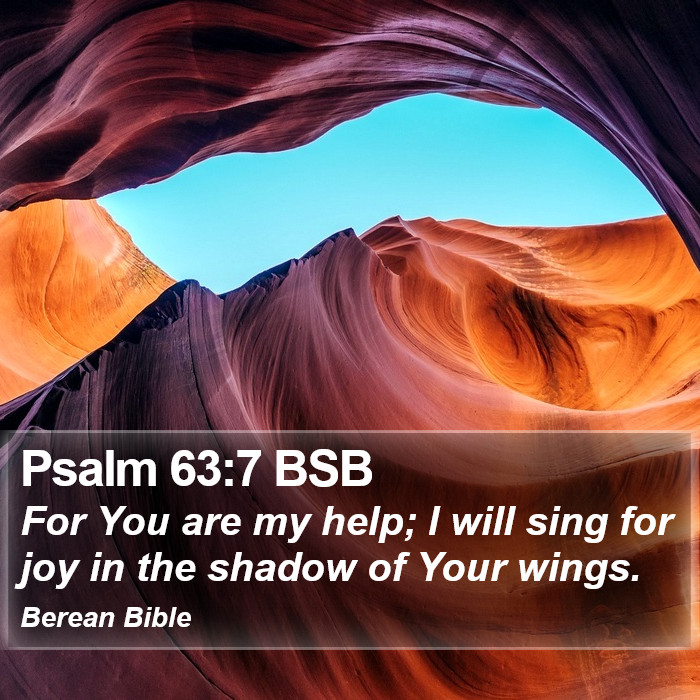 Psalms 63:7 BSB Bible Study