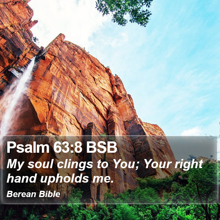 Psalms 63:8 BSB Bible Study