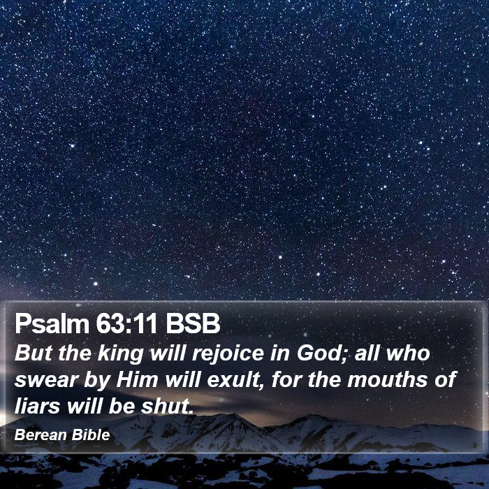 Psalms 63:11 BSB Bible Study