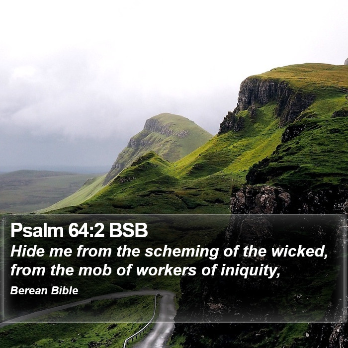 Psalms 64:2 BSB Bible Study