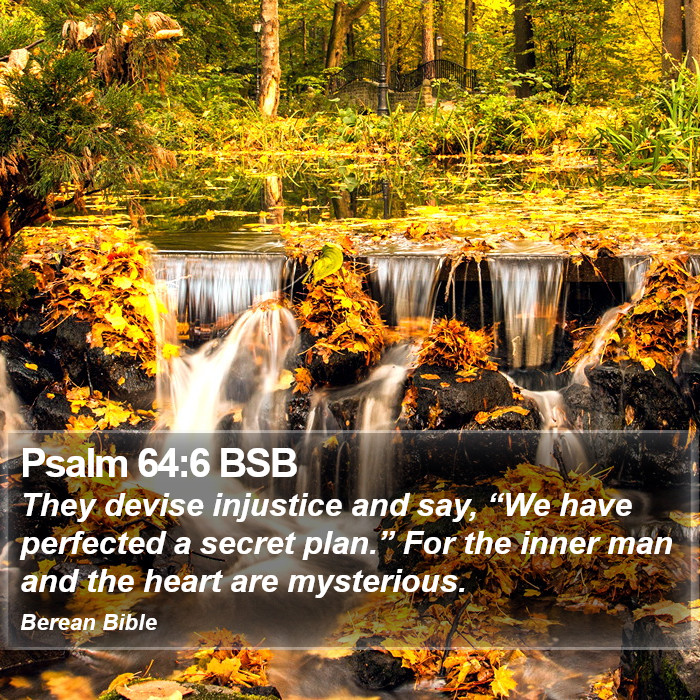 Psalms 64:6 BSB Bible Study