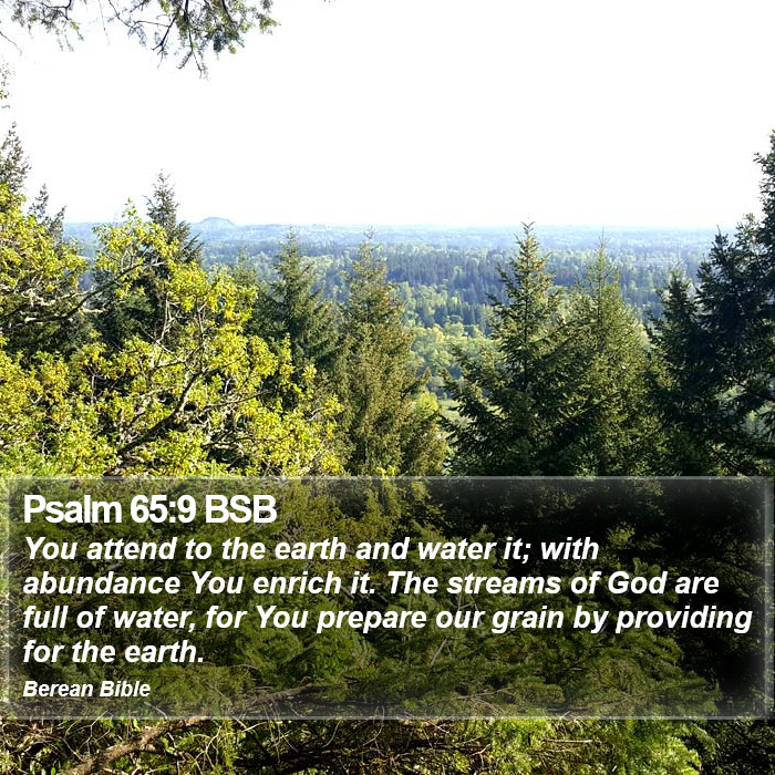 Psalms 65:9 BSB Bible Study