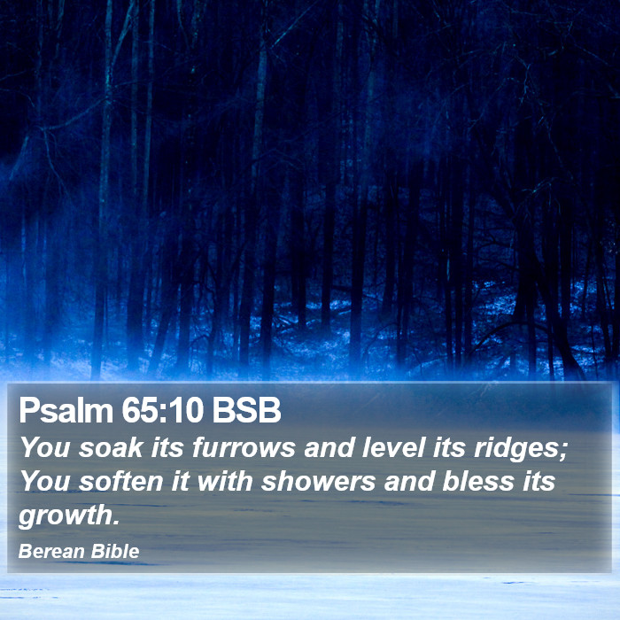 Psalms 65:10 BSB Bible Study