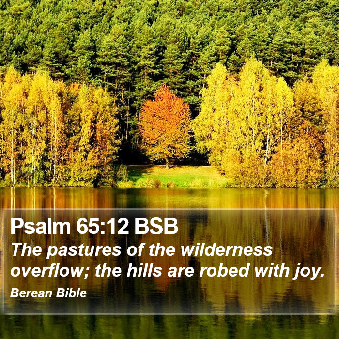 Psalms 65:12 BSB Bible Study