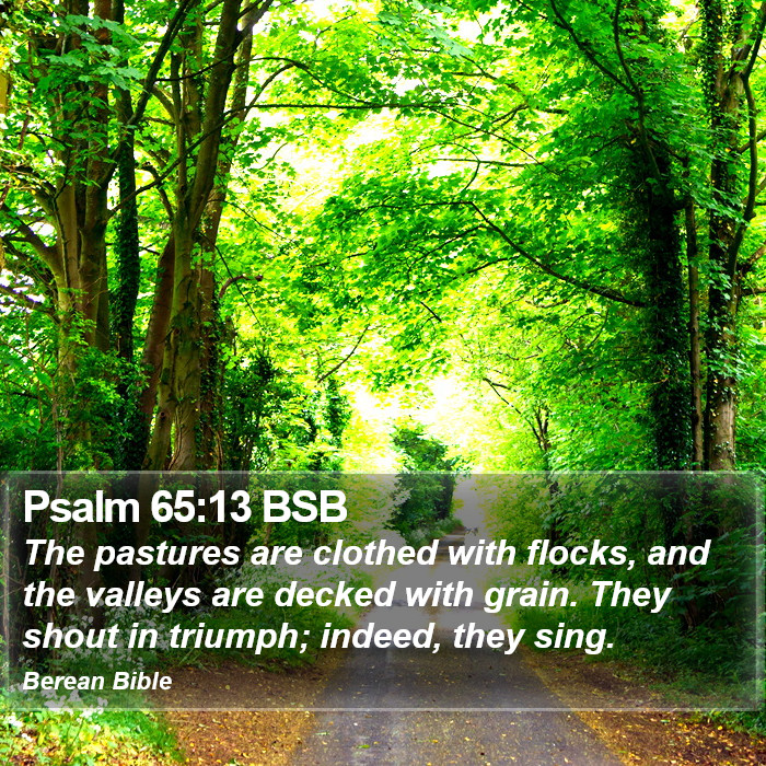 Psalms 65:13 BSB Bible Study