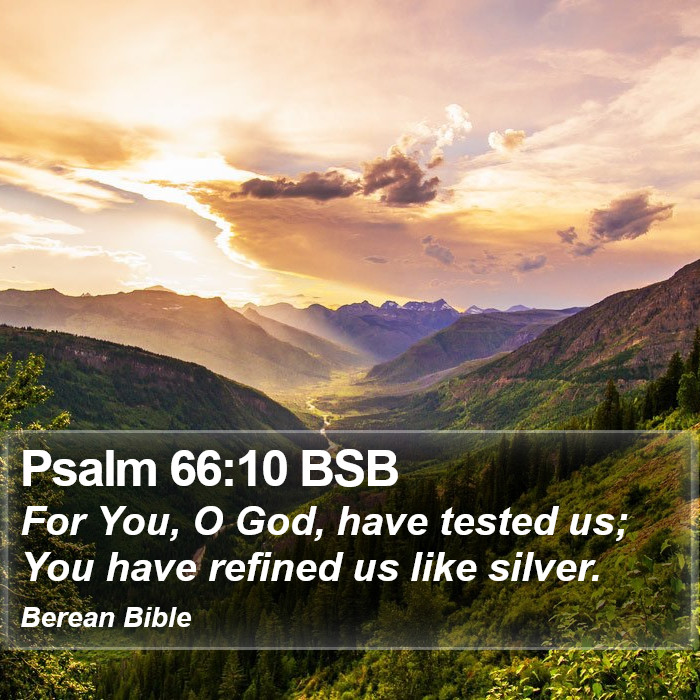 Psalms 66:10 BSB Bible Study