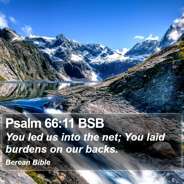 Psalms 66:11 BSB Bible Study