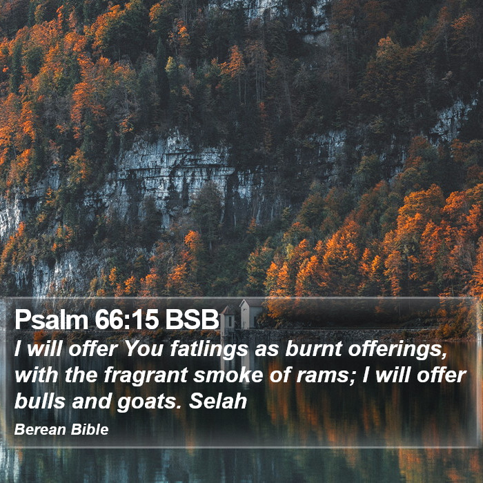 Psalms 66:15 BSB Bible Study